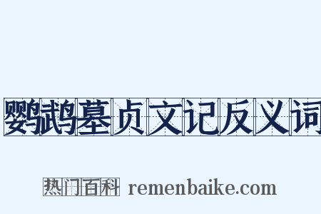 鹦鹉墓贞文记反义词是什么意思的图片